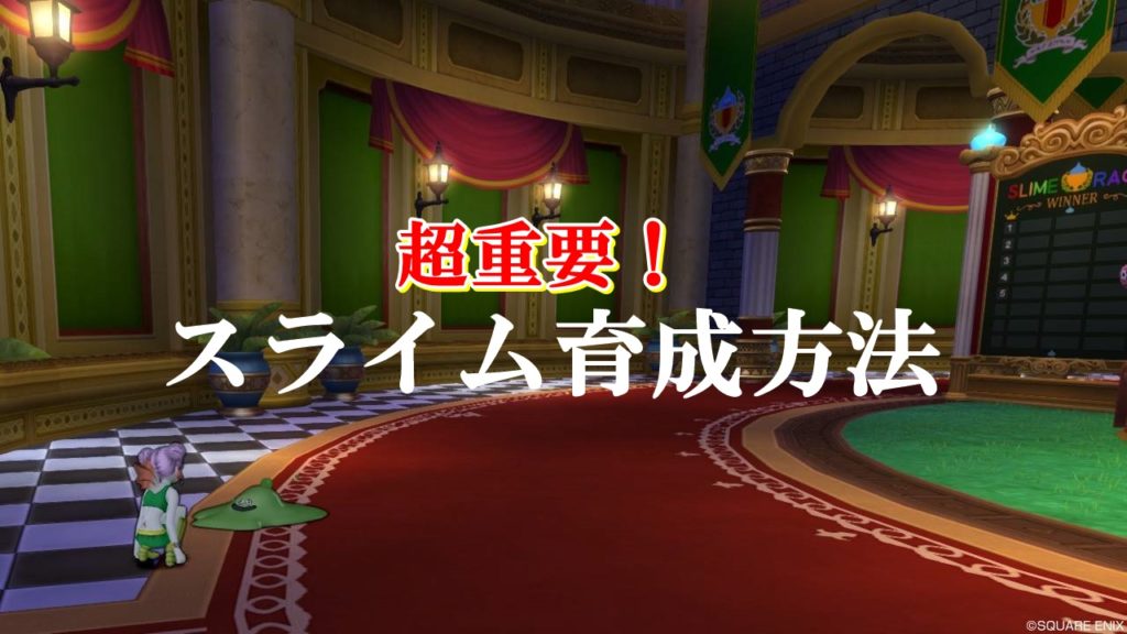 スライムレース攻略 おすすめ育成方法を初心者向けに徹底解説 ドラクエ10攻略ブログ 初心者向け冒険マップ