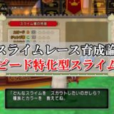 ピラミッドアクセサリー理論値合成まとめ 全種類を完全網羅 ドラクエ10攻略ブログ 初心者向け冒険マップ