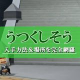 ドラクエ10きようさのたね入手方法 場所まとめ 画像付きで徹底解説 ドラクエ10攻略ブログ 初心者向け冒険マップ