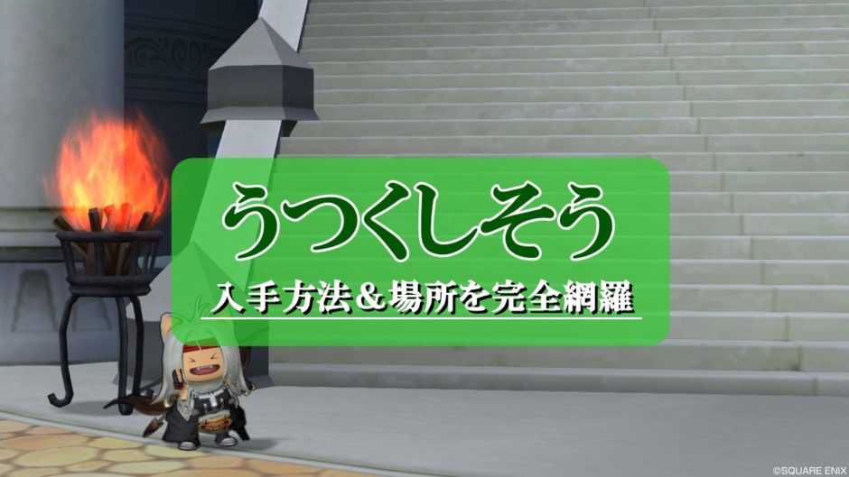 ドラクエ10うつくしそう入手方法 場所まとめ 画像付きで徹底解説 ドラクエ10攻略ブログ 初心者向け冒険マップ