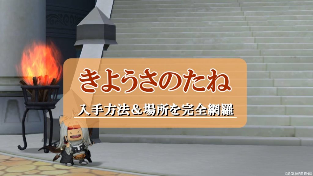 ドラクエ10きようさのたね入手方法 場所まとめ 画像付きで徹底解説 ドラクエ10攻略ブログ 初心者向け冒険マップ