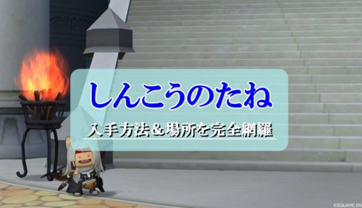 ドラクエ10耐性装備おすすめ情報 汎用的な組み合わせを初心者向けに解説 ドラクエ10攻略ブログ 初心者向け冒険マップ